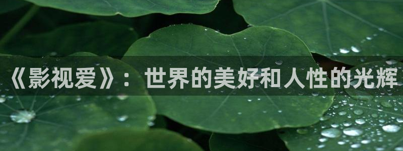 777奇米影视在线观看